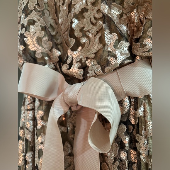 Tadashi Shoji | Sleeveless Blouson Sequin Lace Gown | Blush Gold✨ | NWT | Size 6 - Picture 2 of 5
